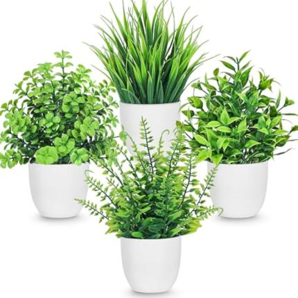 51ouep5amtl. ac us800 .jpg