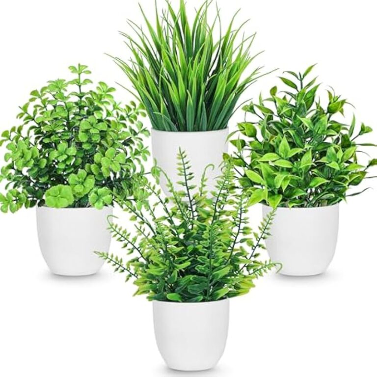 51ouep5amtl. ac us800 .jpg