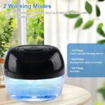 51otqz gdcl. ac us800 .jpg