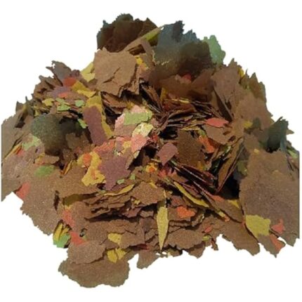 51p39lrjhjl. ac us800 .jpg