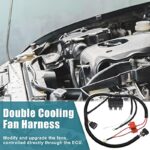 51qjpfyekkl. ac us800 .jpg