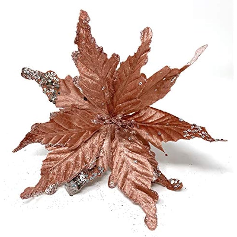 51r8jvuxhl. ac us800 .jpg