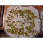 51shev7zql. ac us800 .jpg