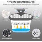 51sda3rguhl. ac us800 .jpg