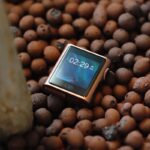 51t12rjxzyl. ac us800 .jpg