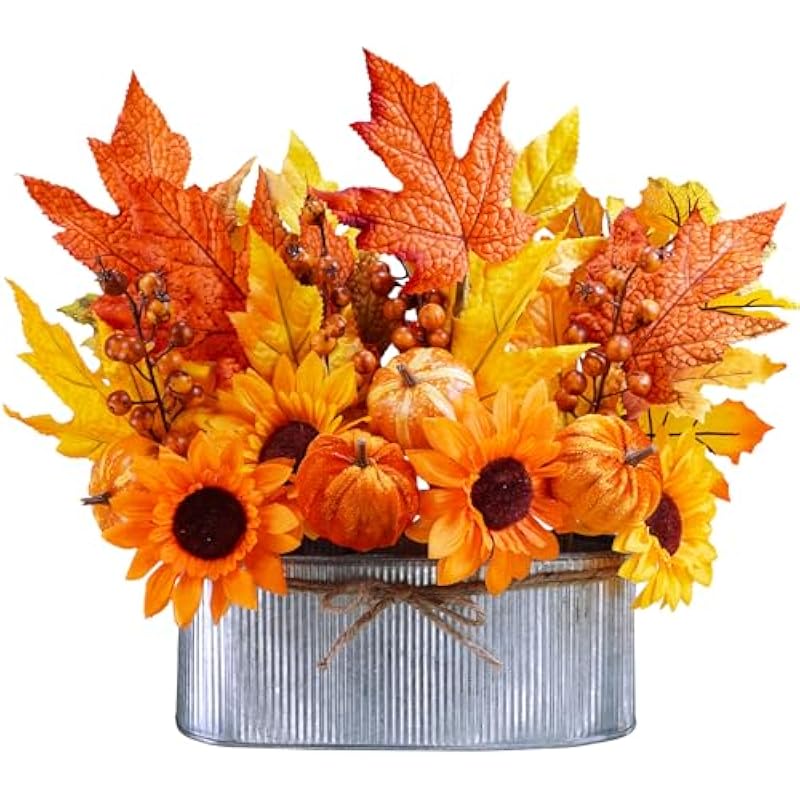 51t8oz3nevl. ac us800 .jpg