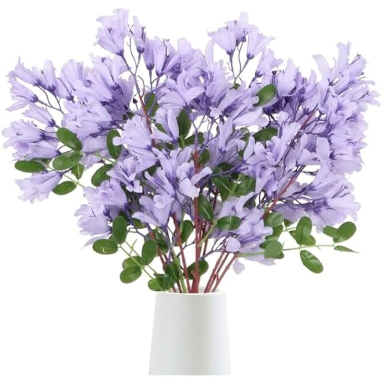 51tlbn19ql. ac us800 .jpg