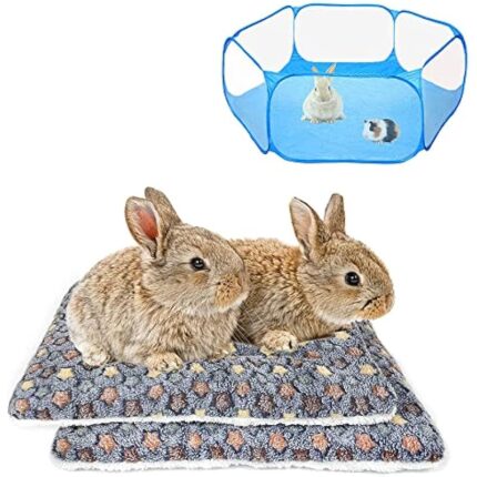 51uezbbcssl. ac us800 .jpg