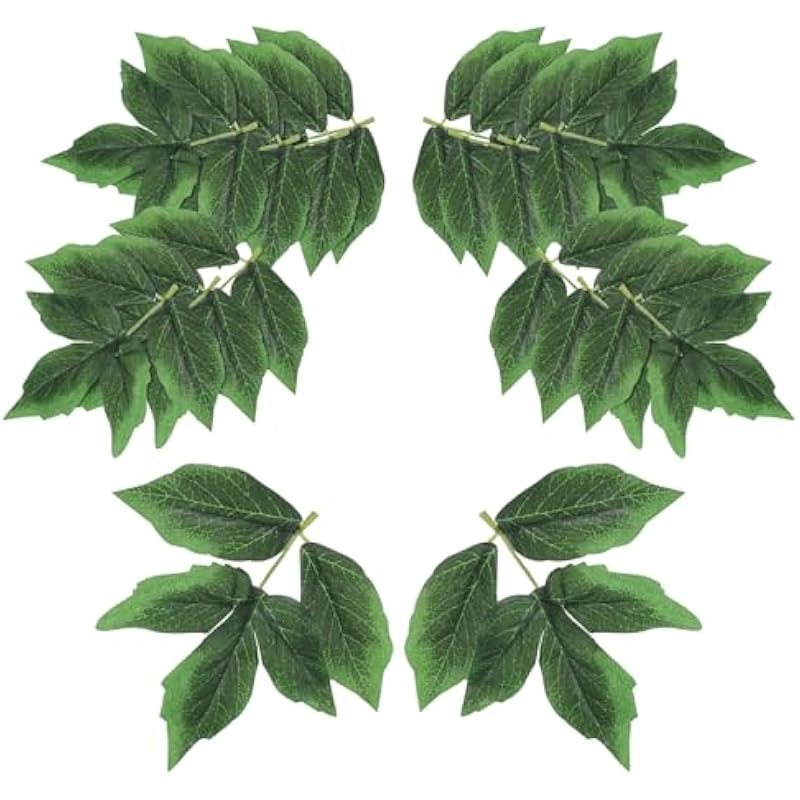 51vkqd7bzpl. ac us800 .jpg