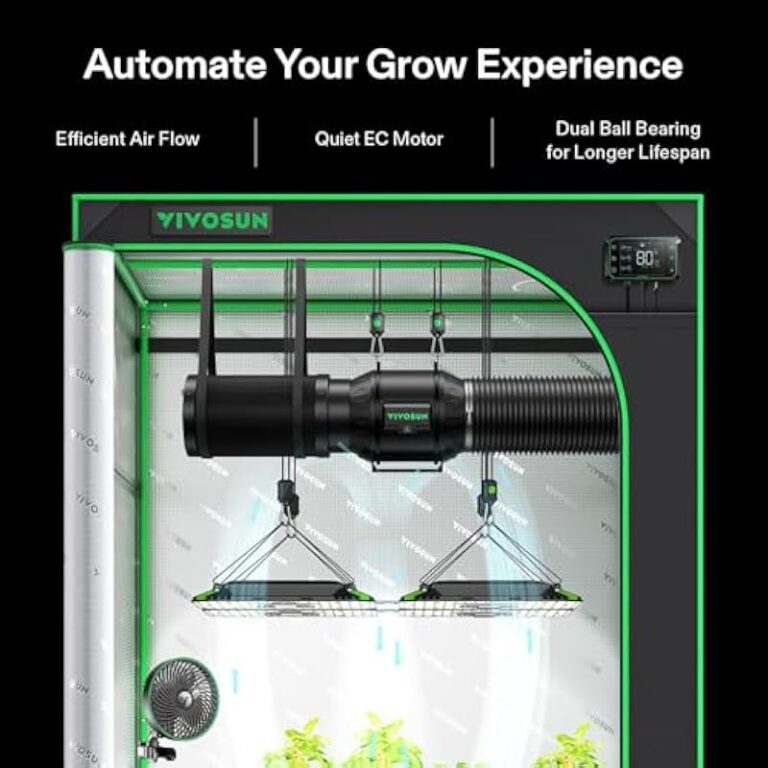 51wkji683ql. ac us800 .jpg