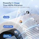 51wzlzzcpjl. ac us800 .jpg