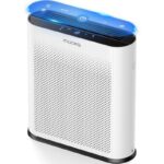 51xb6alzojl. ac us800 .jpg