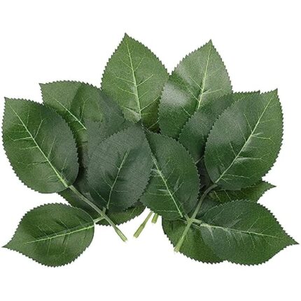 51xeo3i3ppl. ac us800 .jpg