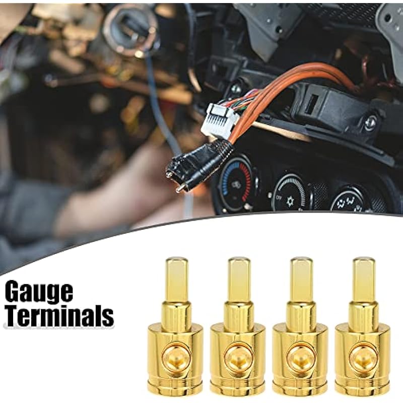 51yvkdqmp3l. ac us800 .jpg