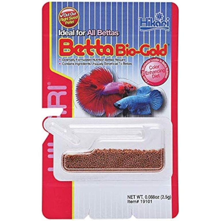 51ziggb1edl. ac us800 .jpg