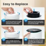 51a2fsctyzl. ac us800 .jpg