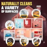 51bvzzxqucl. ac us800 .jpg