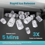 51czfzpibvl. ac us800 .jpg