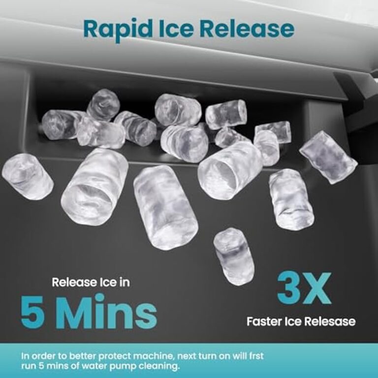 51czfzpibvl. ac us800 .jpg