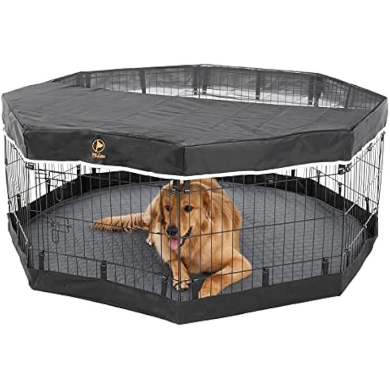 51ccjz8qbtl. ac us800 .jpg