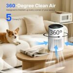 51cfhexlfdl. ac us800 .jpg