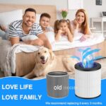 51da13pzjsl. ac us800 .jpg