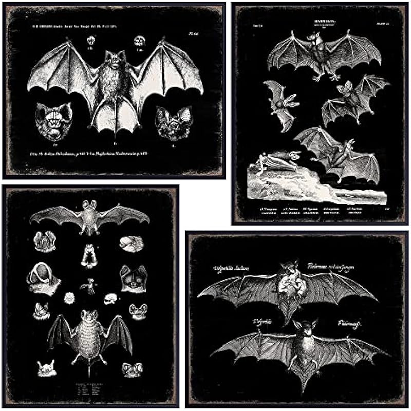 51dfk6jinbl. ac us800 1.jpg