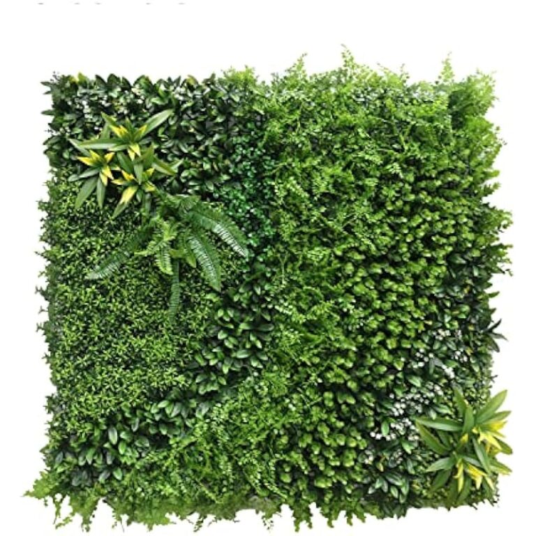 51dgxqpdshl. ac us800 .jpg