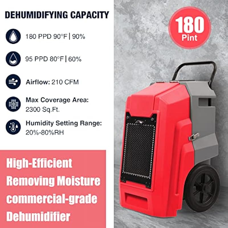 51dqcnyzdjl. ac us800 .jpg