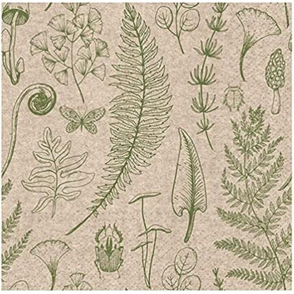 51ds5bacxwl. ac us800 .jpg