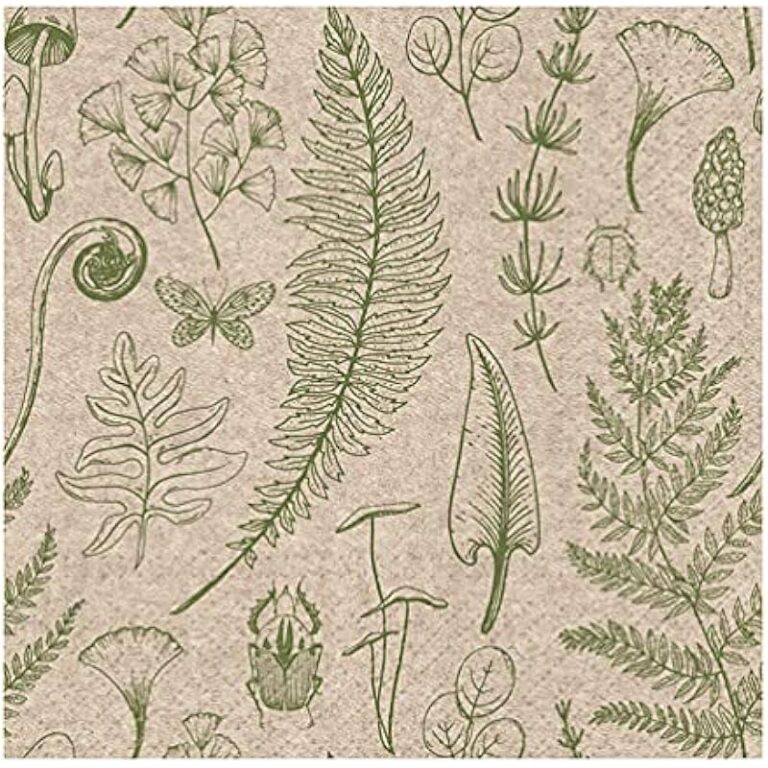 51ds5bacxwl. ac us800 .jpg