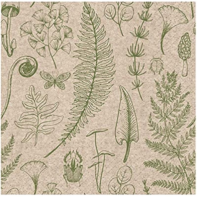 51ds5BACxwL._AC_US800_.jpg 51ds5bacxwl. ac us800 .jpg