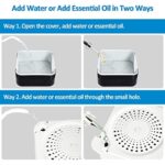 51f0g8n66l. ac us800 .jpg