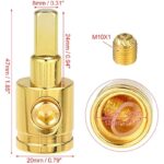 51g99zilnsl. ac us800 .jpg