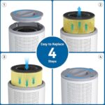 51hnb d1yl. ac us800 .jpg