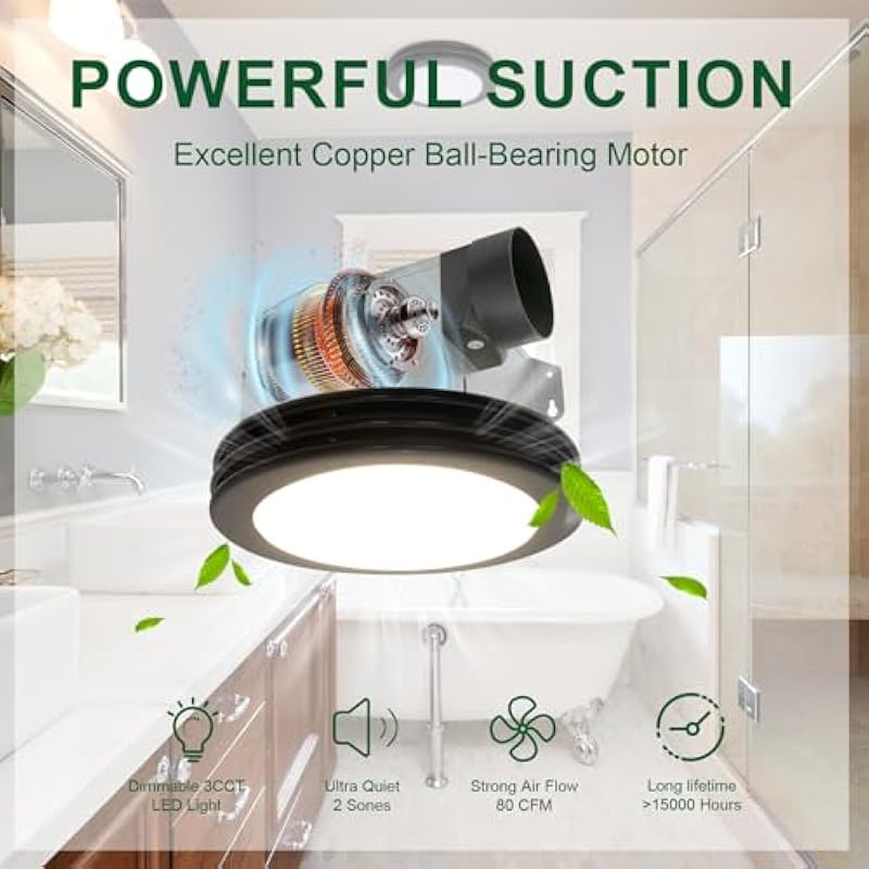 51havflx4l. ac us800 .jpg