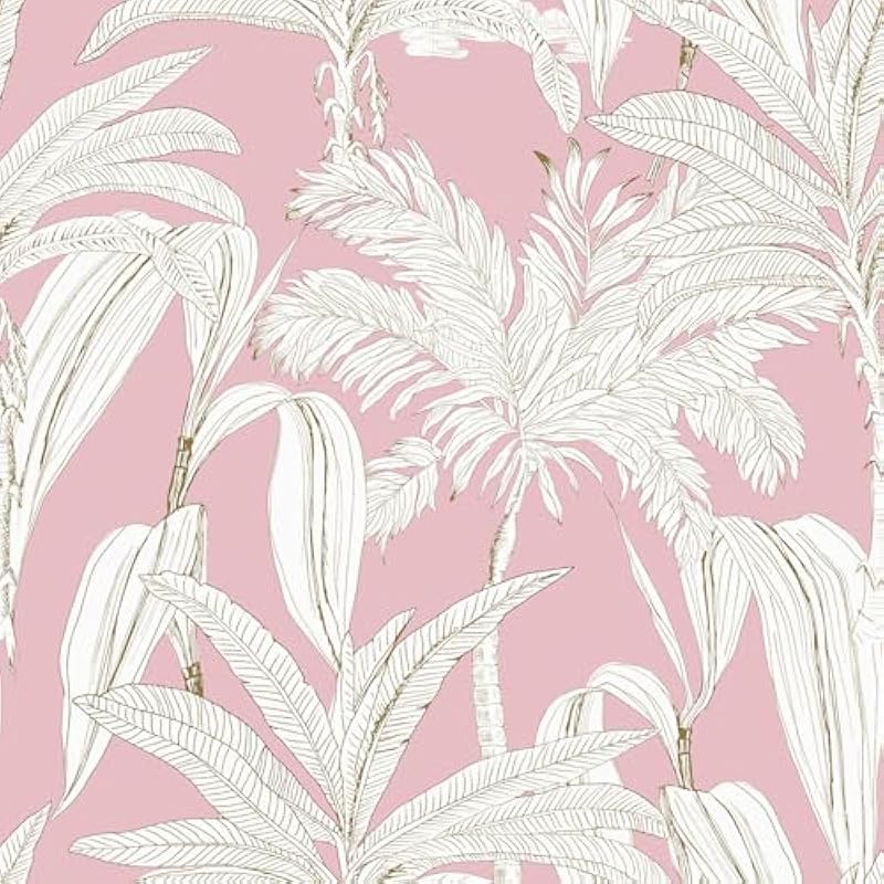 51hbky622fl. ac us800 .jpg