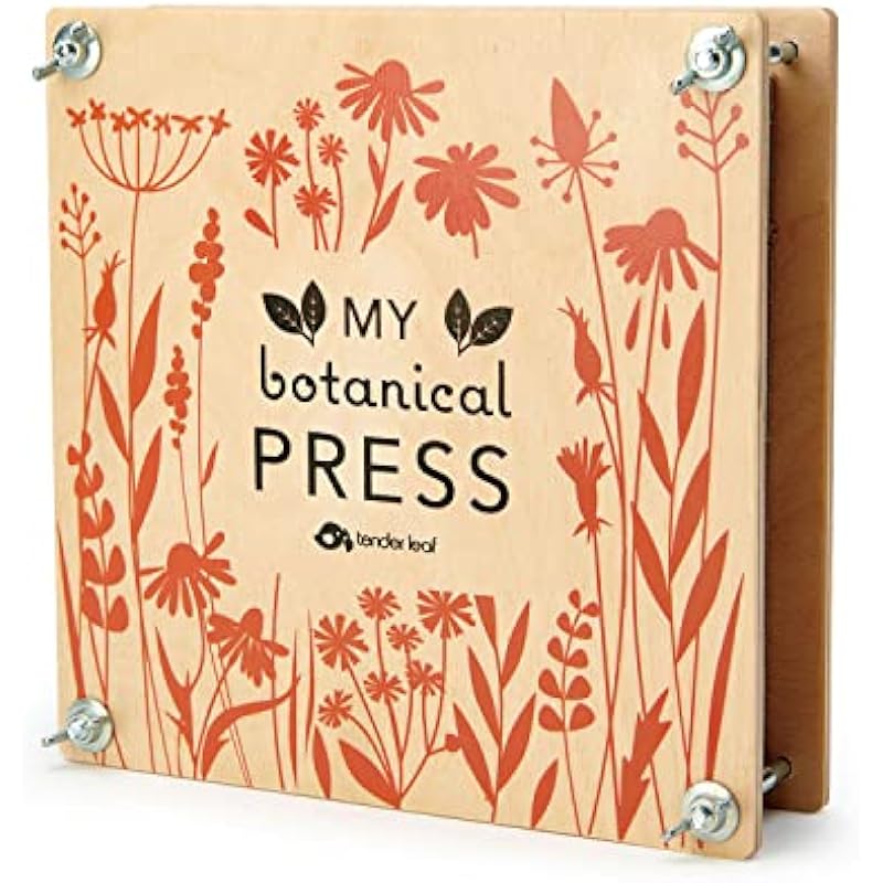 51i1fmdlp0l. ac us800 .jpg