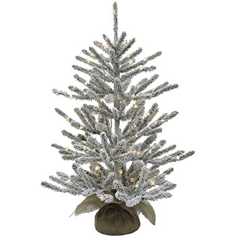 51jcb5kv1gl. ac us800 .jpg