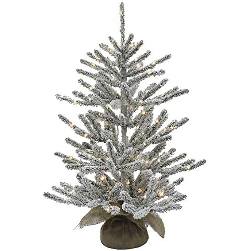 51jcb5kv1gl. ac us800 .jpg