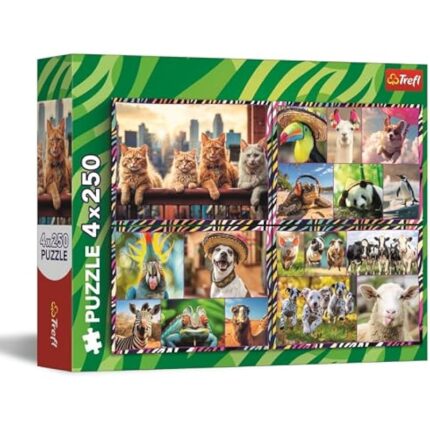 51kfiohel3l. ac us800 .jpg