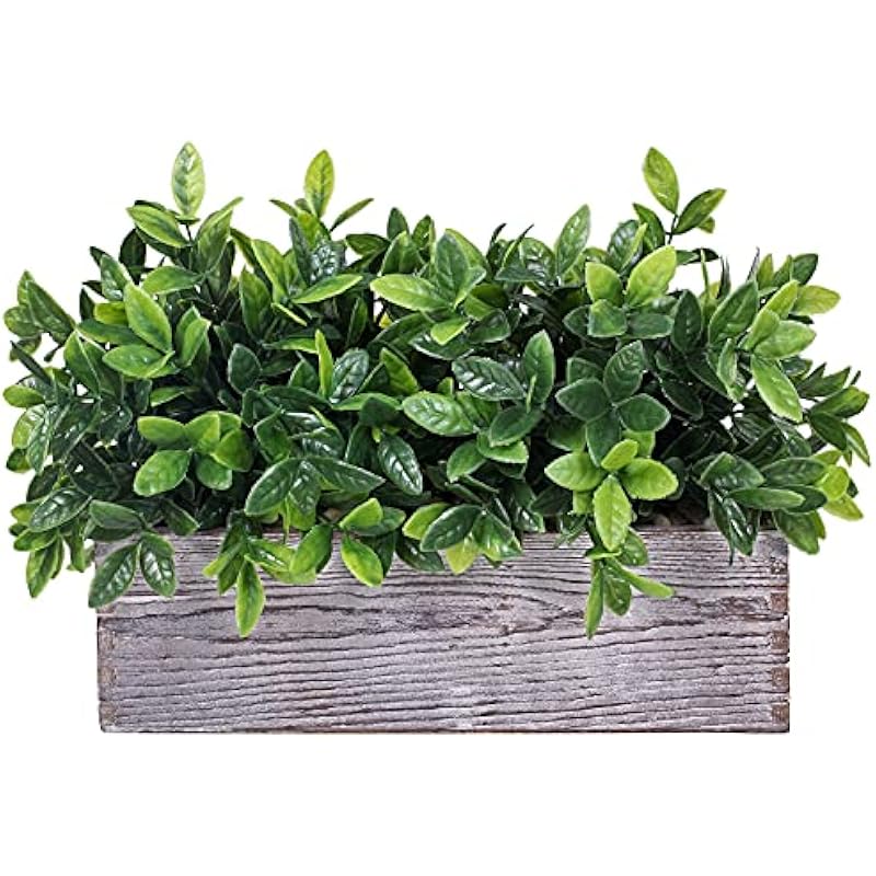 51ksuxbkbs. ac us800 .jpg