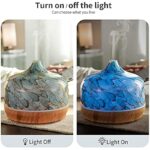 51lhcqw0bs. ac us800 .jpg