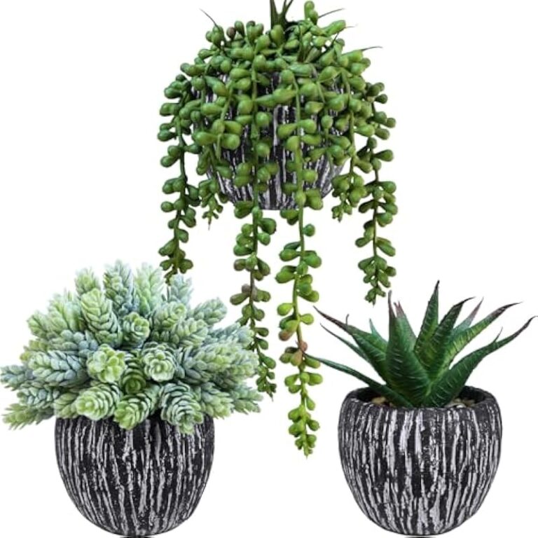 51lzfpwqrql. ac us800 .jpg