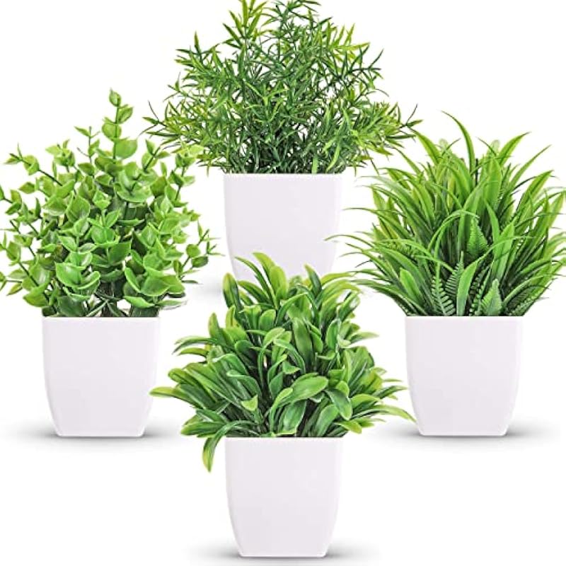 51mosotxugl. ac us800 .jpg