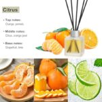 51mozspp6l. ac us800 .jpg