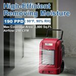 51nk3jgtvhl. ac us800 .jpg