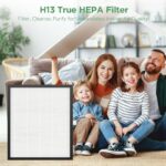 51ogl6bzsdl. ac us800 .jpg