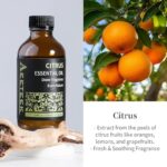 51okq ufrl. ac us800 .jpg