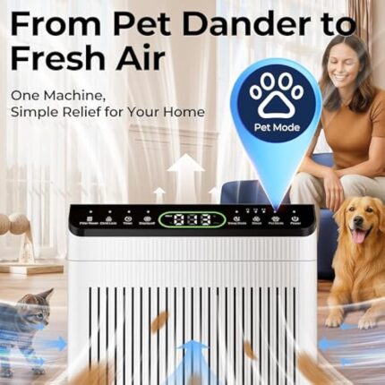 51oc5jncvcl. ac us800 .jpg